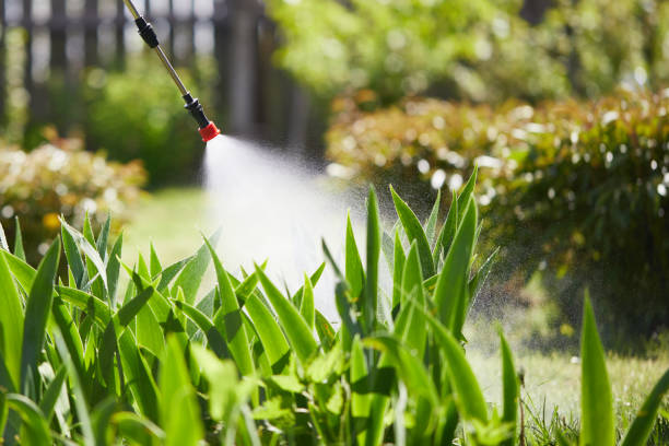 24/7 Emergency Termite Control experts in Loris, SC